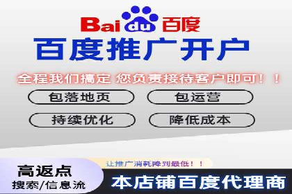 百度广告推广案例：数据分析与优化